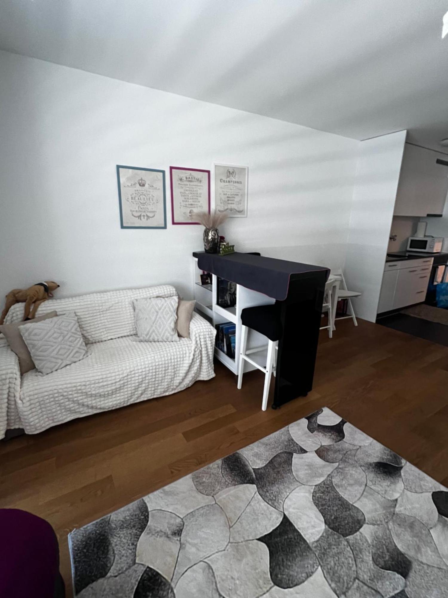 Apartments In Bern - Green Relax Dış mekan fotoğraf